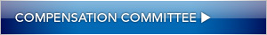 Compensation Committee